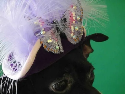 Light Purple Feather, Silver Butterfly Purple Hat - Cat or Dog