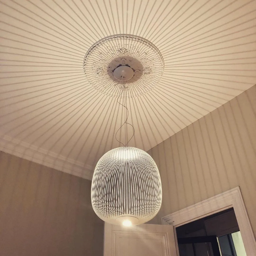 Lightweight Spokes Cage Pendant Lamp