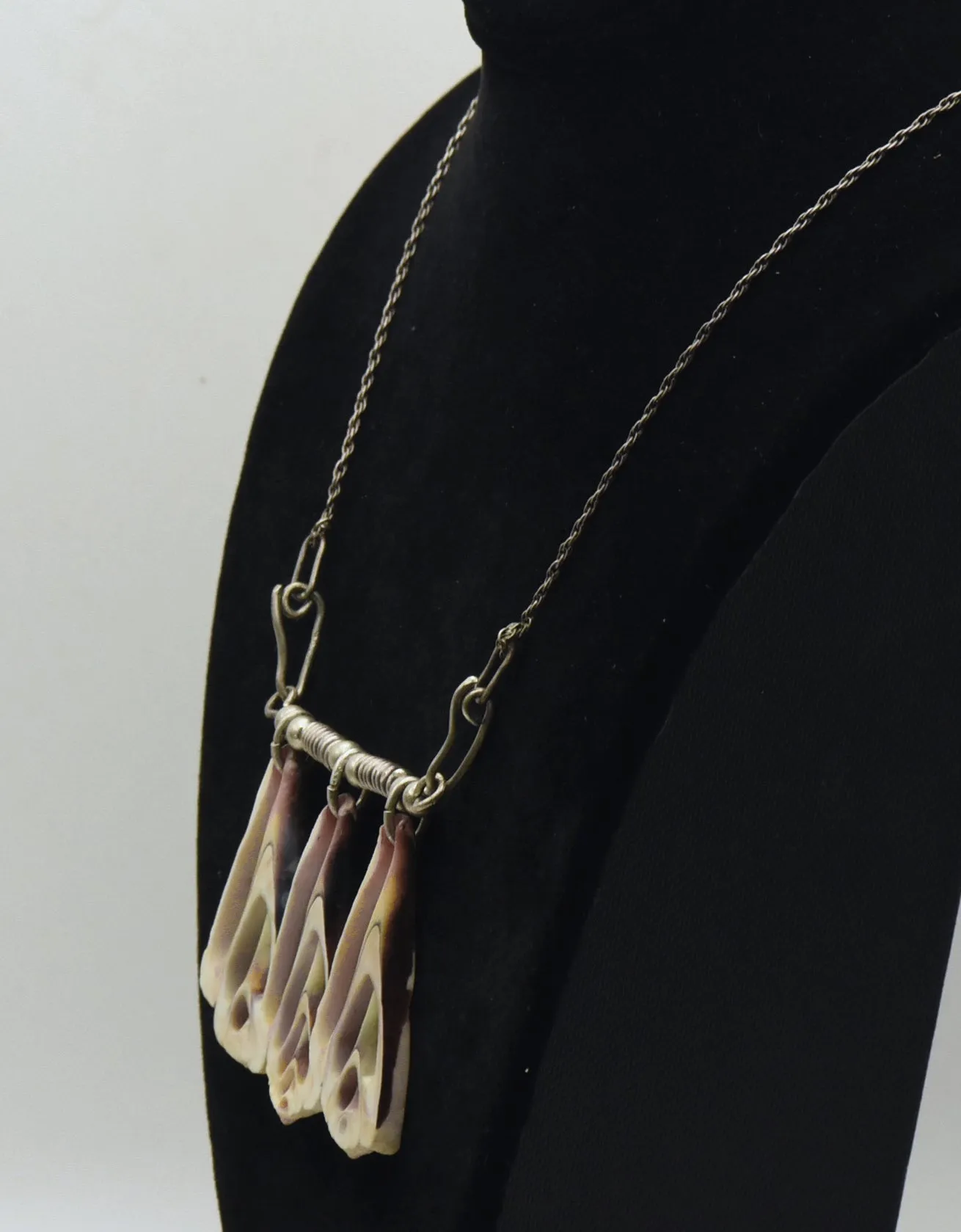 Vintage Seashell Slice Sterling Silver Chain Necklace - 22"