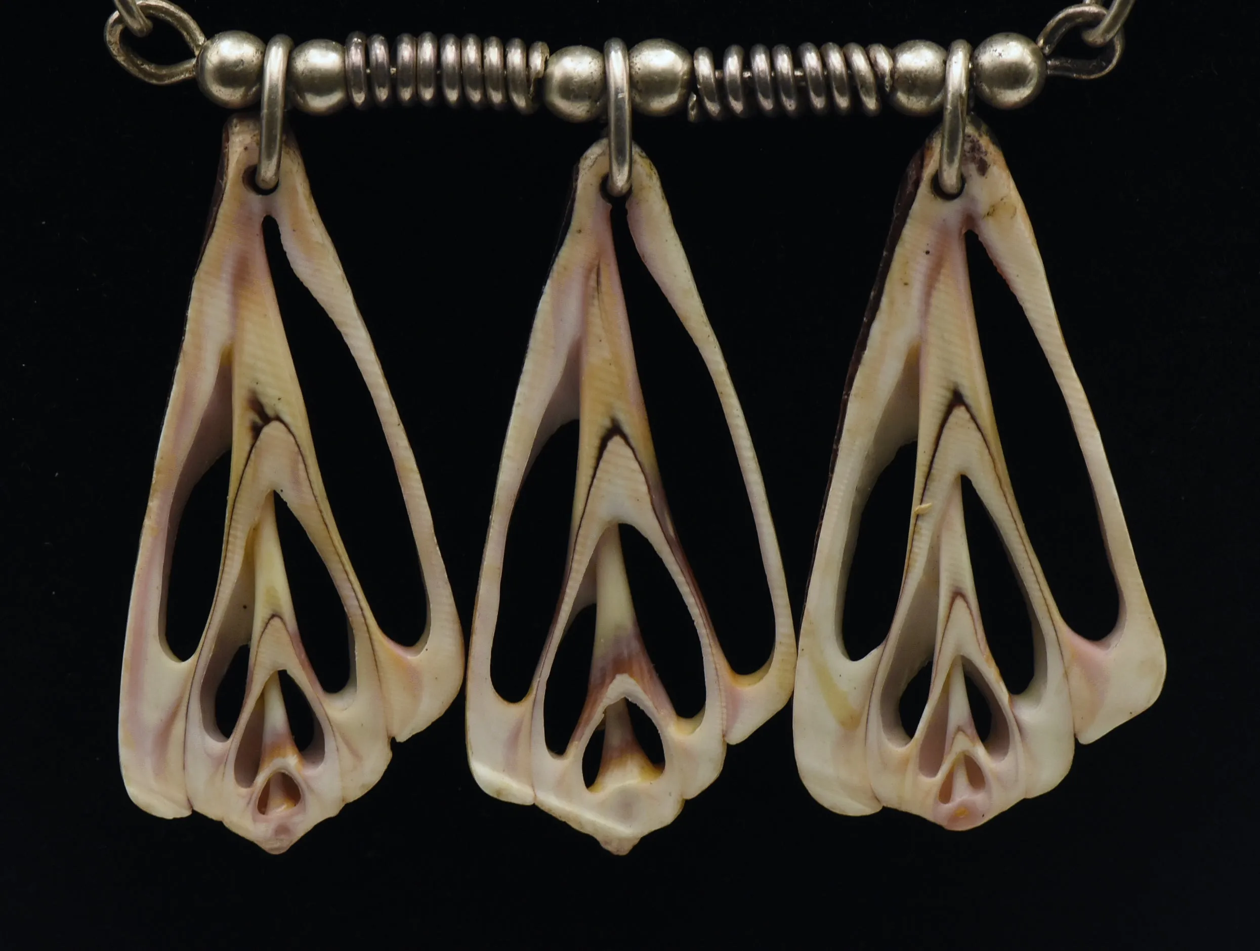 Vintage Seashell Slice Sterling Silver Chain Necklace - 22"